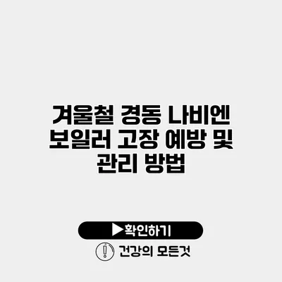 겨울철 경동 나비엔 보일러 고장 예방 및 관리 방법