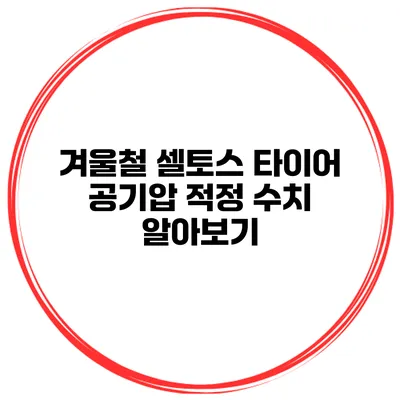 겨울철 셀토스 타이어 공기압 적정 수치 알아보기