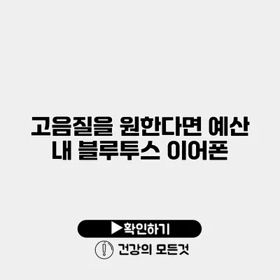 고음질을 원한다면 예산 내 블루투스 이어폰