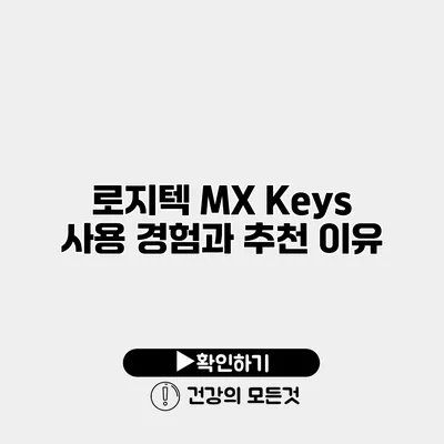 로지텍 MX Keys 사용 경험과 추천 이유