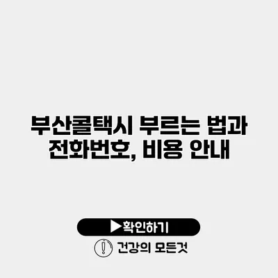 부산콜택시 부르는 법과 전화번호, 비용 안내