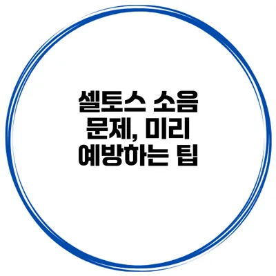 셀토스 소음 문제, 미리 예방하는 팁