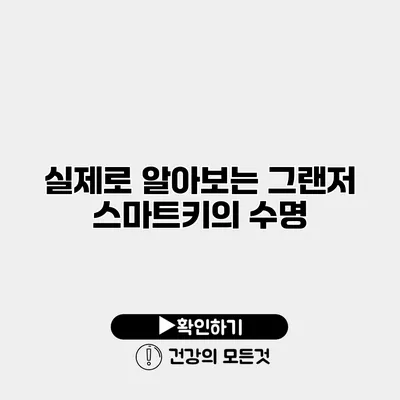 실제로 알아보는 그랜저 스마트키의 수명