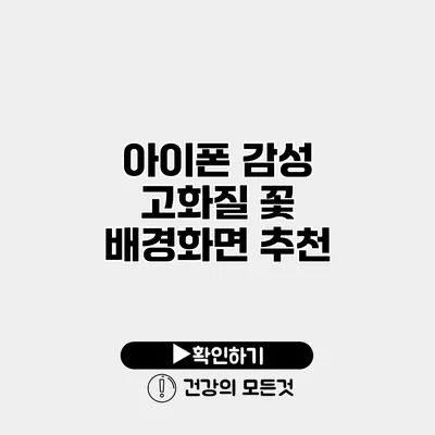 아이폰 감성 고화질 꽃 배경화면 추천