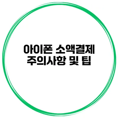 아이폰 소액결제 주의사항 및 팁