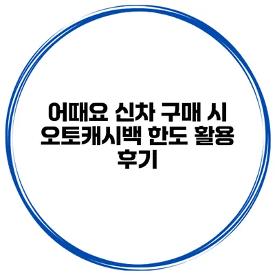 어때요? 신차 구매 시 오토캐시백 한도 활용 후기
