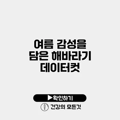 여름 감성을 담은 해바라기 데이터컷