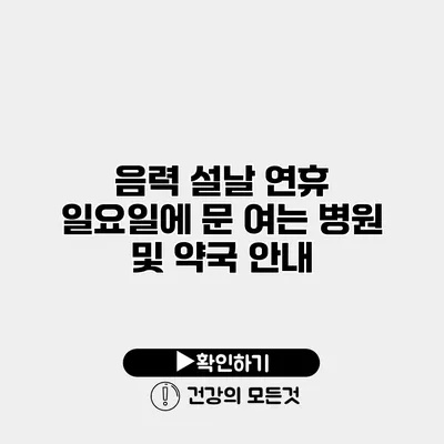 음력 설날 연휴 일요일에 문 여는 병원 및 약국 안내