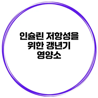 인슐린 저항성을 위한 갱년기 영양소