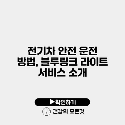 전기차 안전 운전 방법, 블루링크 라이트 서비스 소개