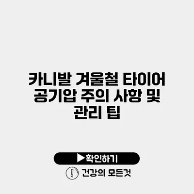 카니발 겨울철 타이어 공기압 주의 사항 및 관리 팁