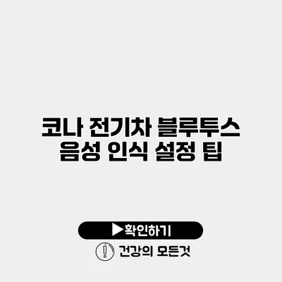 코나 전기차 블루투스 음성 인식 설정 팁