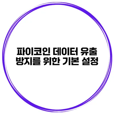 파이코인 데이터 유출 방지를 위한 기본 설정