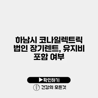 하남시 코나일렉트릭 법인 장기렌트, 유지비 포함 여부