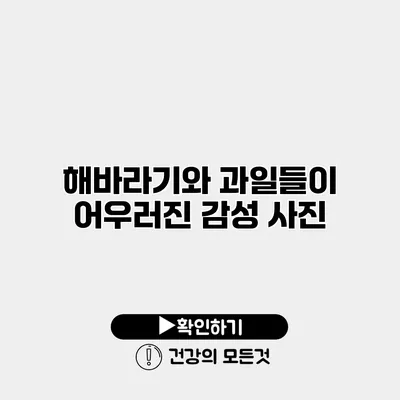 해바라기와 과일들이 어우러진 감성 사진